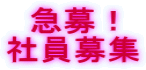 急募！ 社員募集 